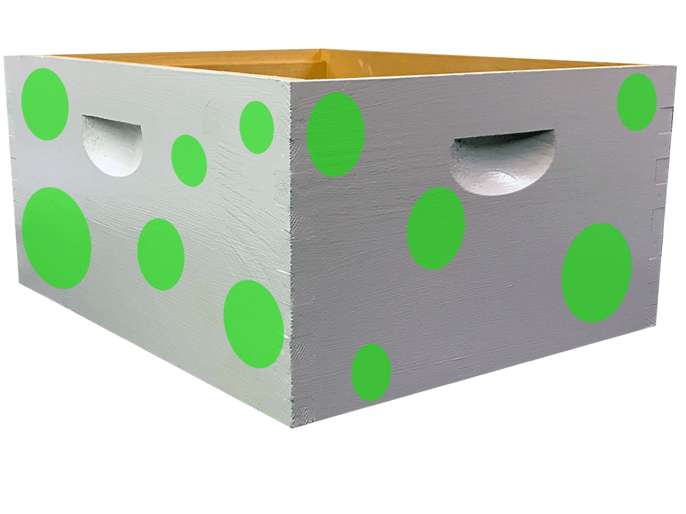 Green Polka Dot Bee Box Decal Kit