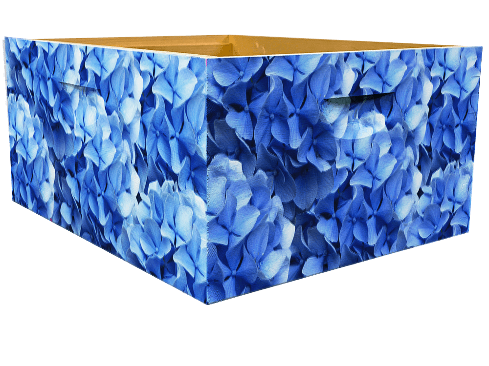 Blue Hydrangea Combo