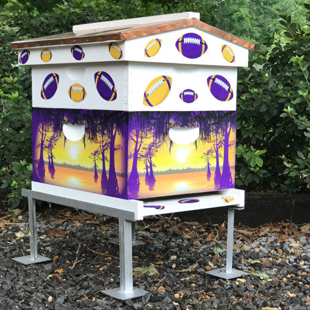 Football Decals on a Swamp Scene Box