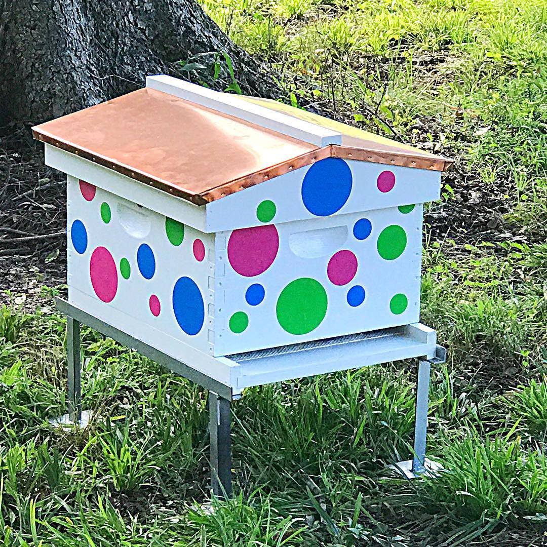 Multi Color Polka Dot Bee Box Decal Kit
